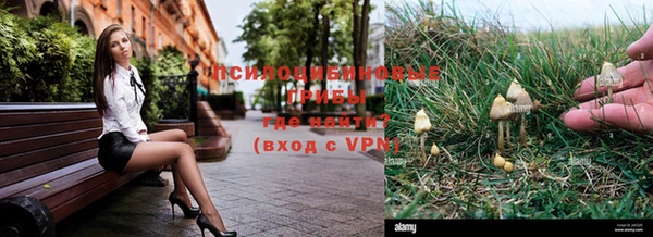 PSILOCYBIN Волоколамск
